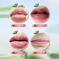Nourishing Warm Changing Lipbalm Strawberry Long Lasting Water Lipstick Moisturizing Warm Changing Lipstick Korean Lip Care 2