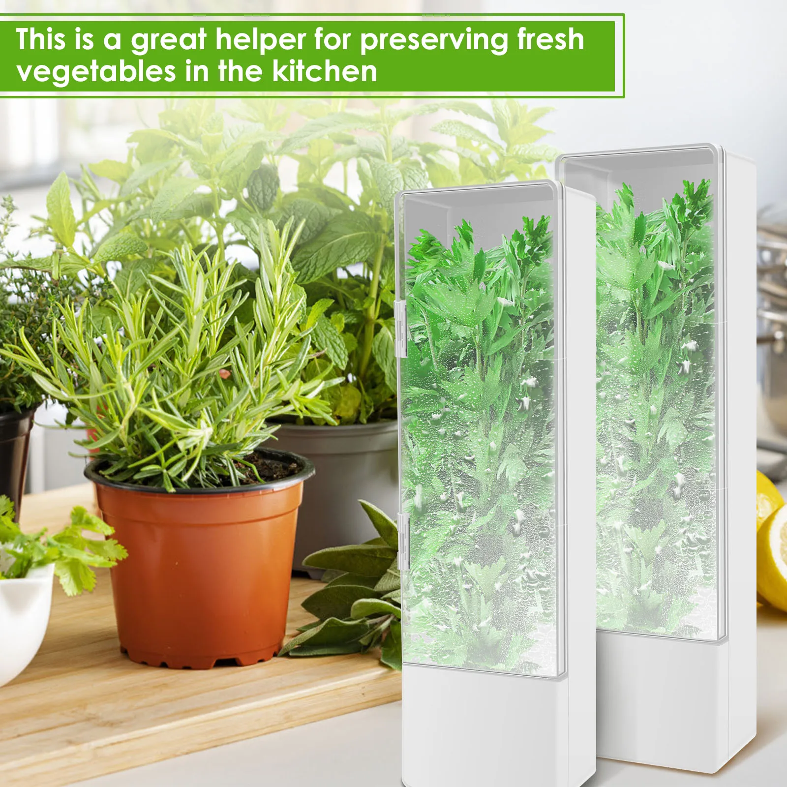 Herb Saver Keeper Box Fresh Container Veggie Storage Fresh Keeper Fridge Vege Preserve Bottle for Cilantro Mint Parsley Asparagu