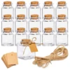 Mini Glass Jars with Cork Stoppers, Small Jars with Cork Jars for Gift Favors, Spices, Herbs, Glitter, DIY Crafts 1