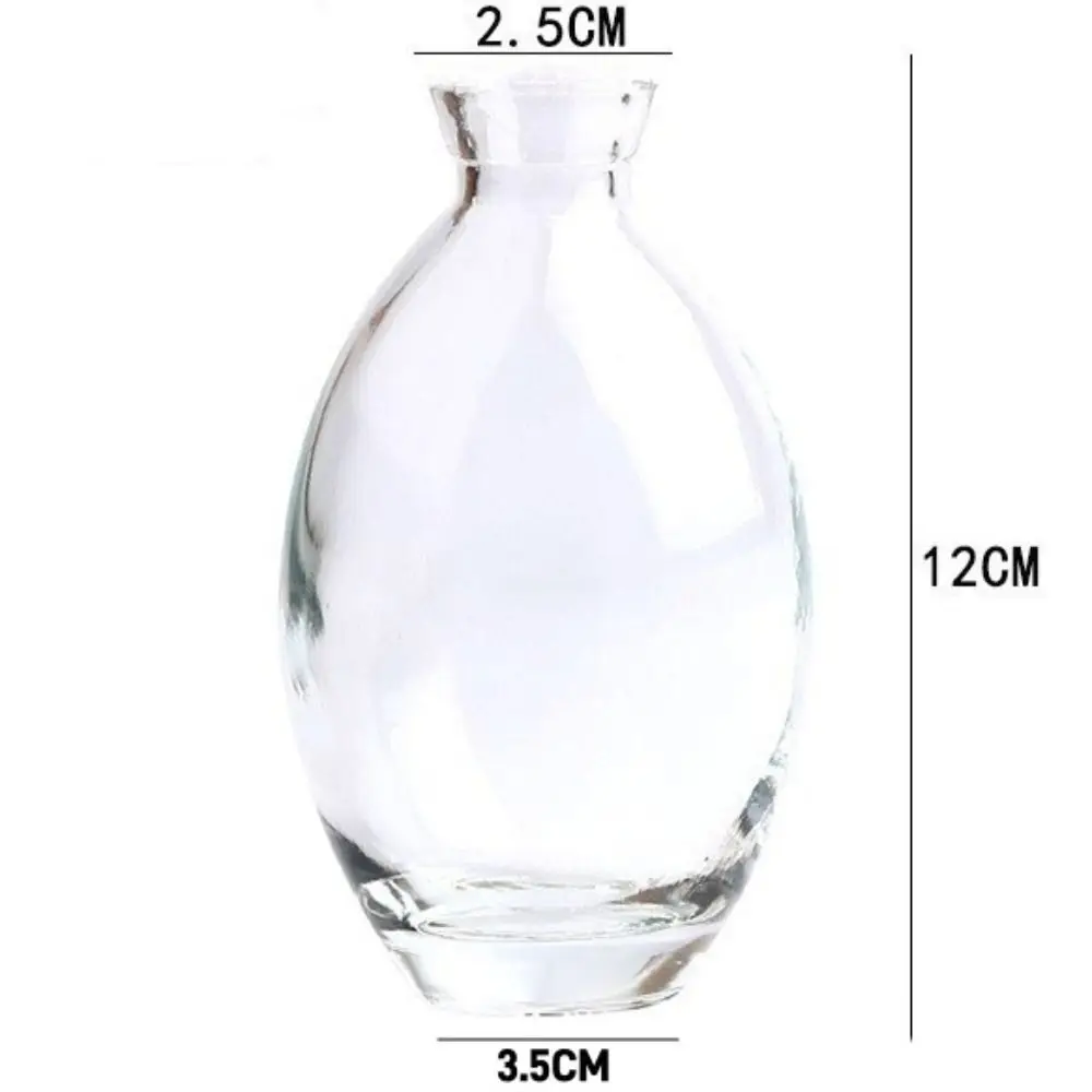 Elegant Transparent Glass Flower Vase