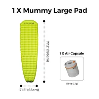 R09 Mummy Large