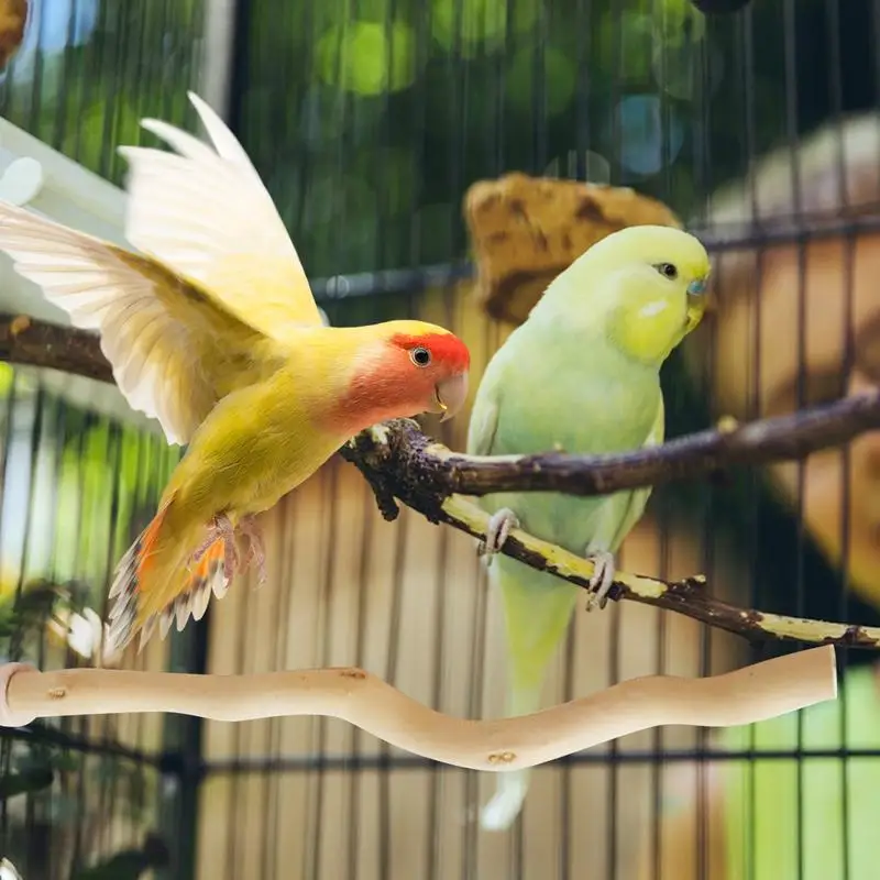 Bird Perch Toys Parrot Wooden Molar Cage Stand Stick Natural Wood Bird Accessories for Lovebirds Medium Parrots Budgies 3
