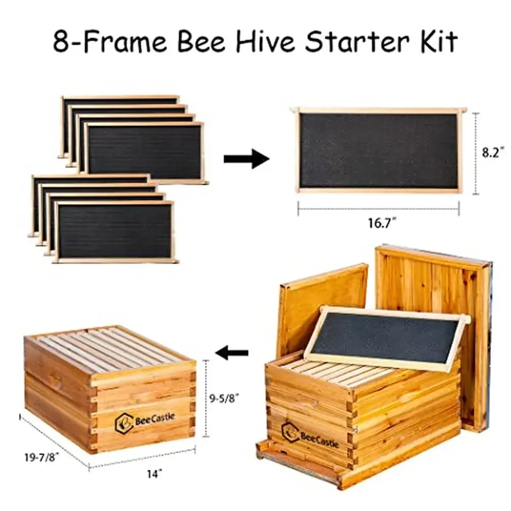 Complete Beekeeping Starter Kit with Premium Tools and Free Size Protective Suit 8-Frame Beehive Dipped in Beeswax and