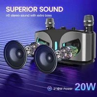 Owls 20W Powerful Wireless Bluetooth Speaker with Dual Mics Portable HIFI Sound Outdoor Family Party Karaoke Subwoofer Box Gifts - Image 2