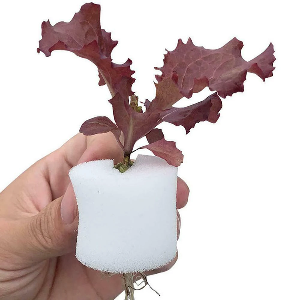 50PCS Plant Net Cup 50PCS Cylinders Sponge For Hydroponics Aquaponics Orchids Plant Starting UV Resistant Plastic Net Cups