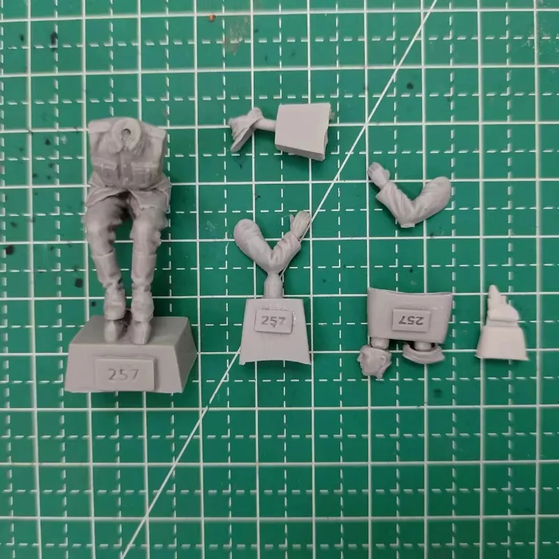 송진 캐스트 피규어 모델 키트, 미조립 도색 디오라마 614X, 역사적인 군사 미니어처, 드라이버 군인, 1 인, 35 체중계