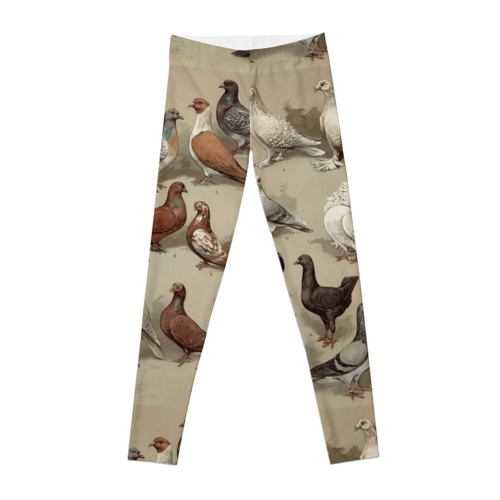 Pigeon Breeds Chart Leggings Push up leggings Women's sport leggings