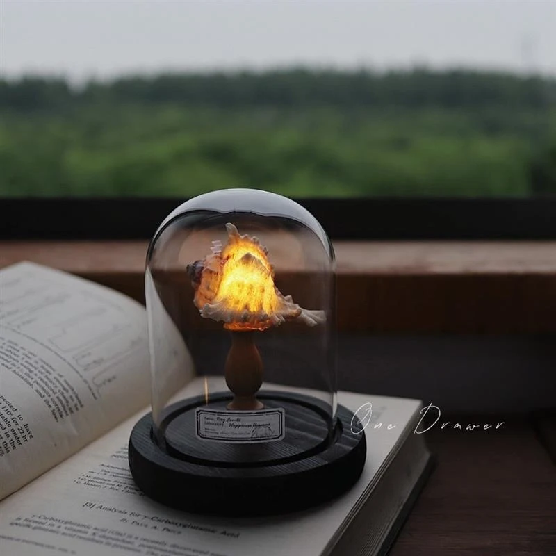 조개, 성게, 바다 달팽이 램프, 야간 조명 장식품