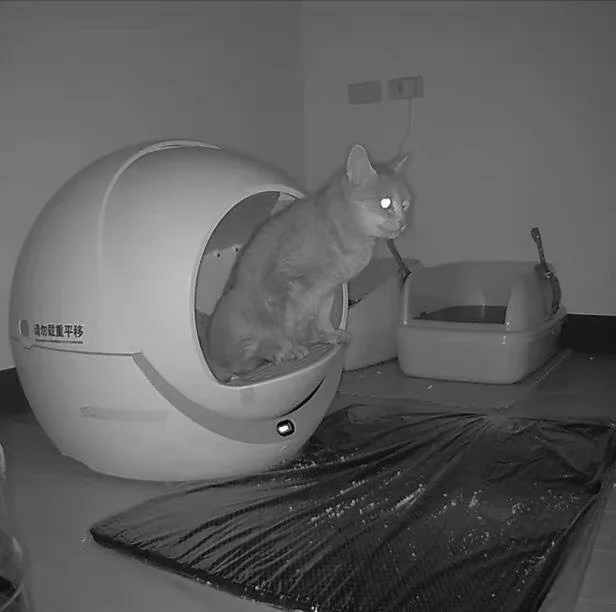 Self Cleaning Cat Litter Box Abound Pet Supplies