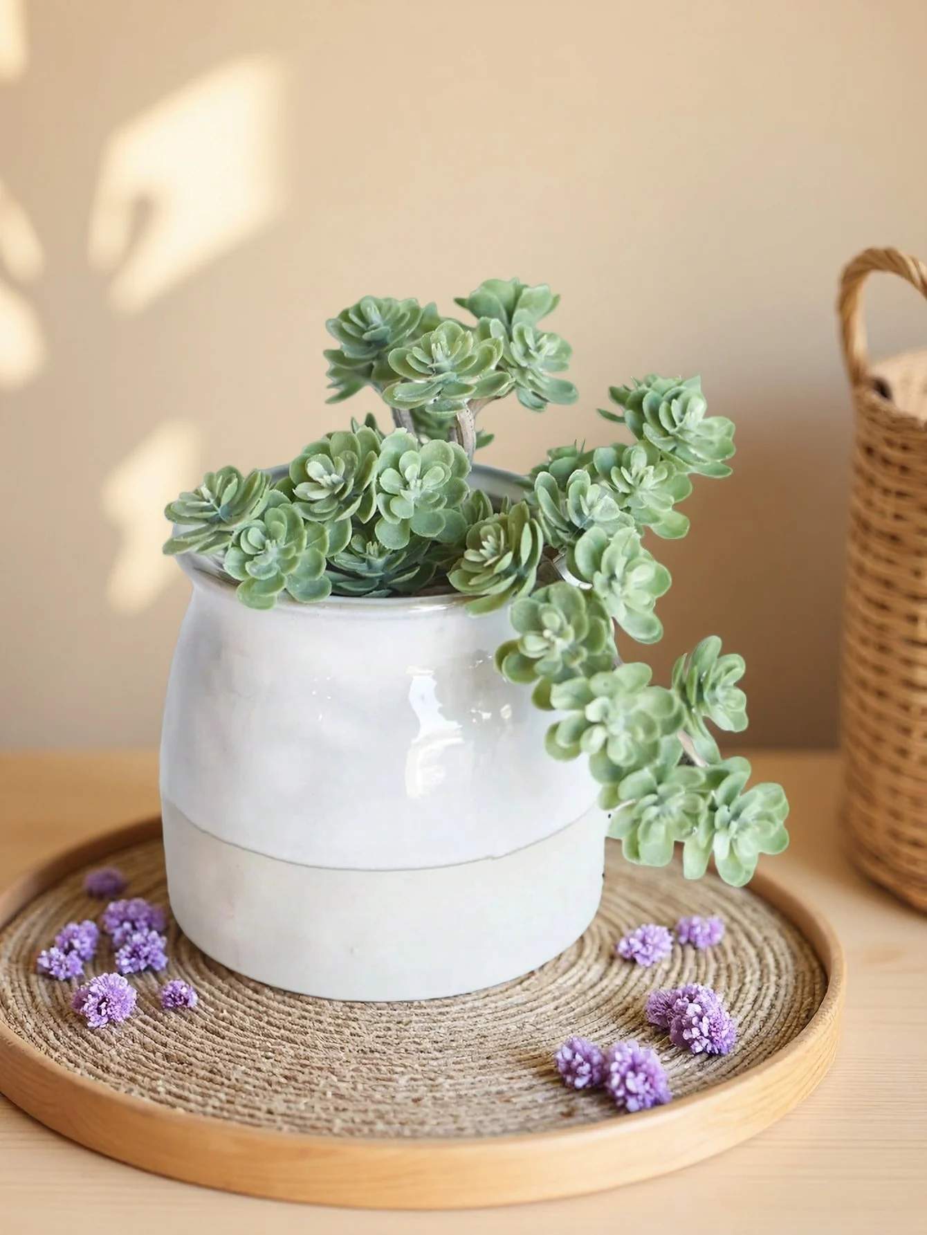 Doppelseitig beflockte künstliche Sukkulenten, ungetopfte Mini-Sedum-Pflanzen, realistische künstliche Sukkulenten-Stiele für Haus, Garten und Bastelarbeiten – Detail 6