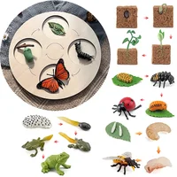 Animal Life Cycle Board Children Toys Montessori Teaching Aids Plant Animal Growth Cycle Model Set preschool cognitive Toys 2