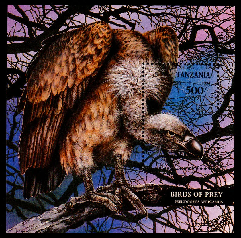 Tanzania,1994, Avvoltoi Africani, Uccelli Rapaci, Timbro Di Uccelli, Francobolli Di Animali, Collezione Di Francobolli, Timbro Postale, Foglio Di Souv