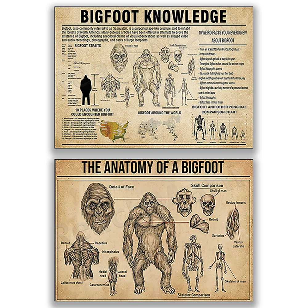 Um pôster de um jogo de bigfoot chamado bigfoot.