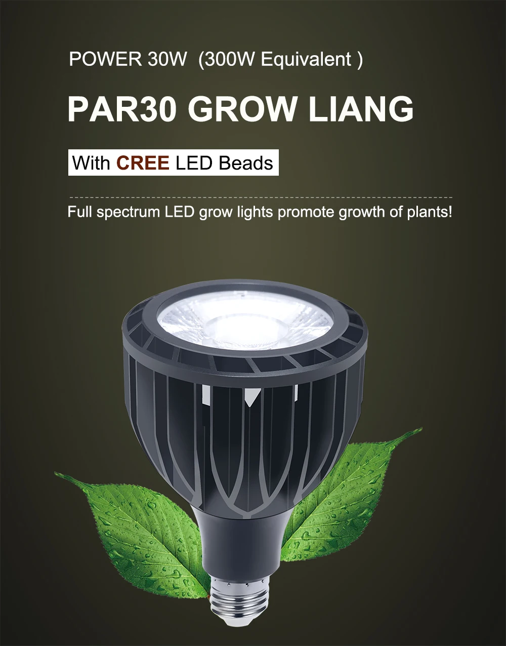 Description Picture 2 of itemRA97 LED PAR30 Bulb Spotlight E27 Supermarket Fresh Clothes Shop Store Aluminum Non Stroboscopic for Kitchen Clothes Shop Lamps