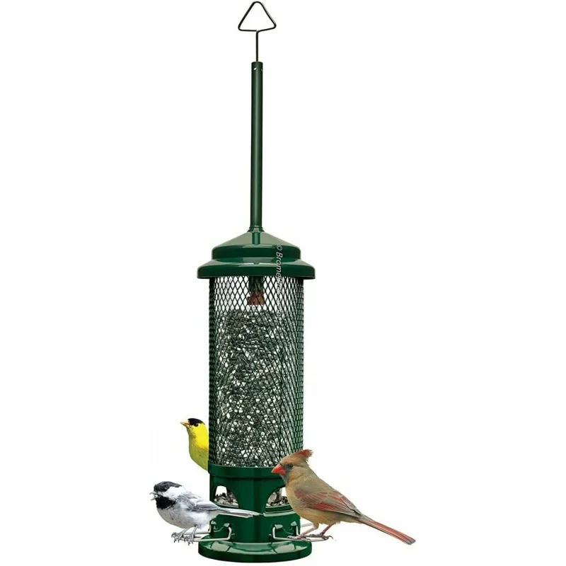 Squirrel Buster Legacy Squirrel-proof Bird Feeder w/4 Metal Perches 2.6-pound Seed Capacity