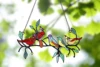 5 birds