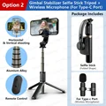 With MIC for Type-c