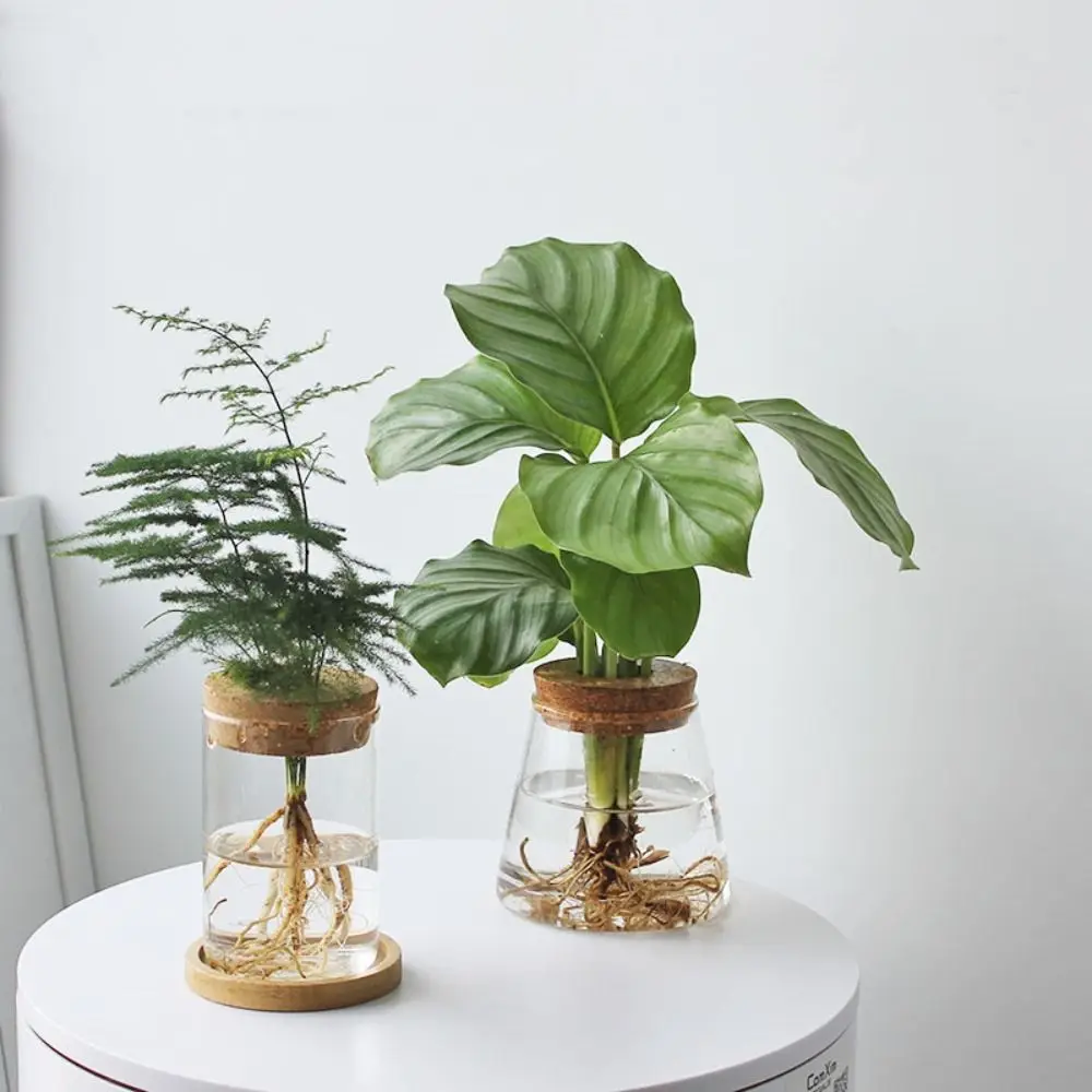 Transparent Hydroponic Flower Pot Green Plant Soilless Creative Home Glass Vase Potted Mini Terrarium flower pot flower vase hydroponic flower pot