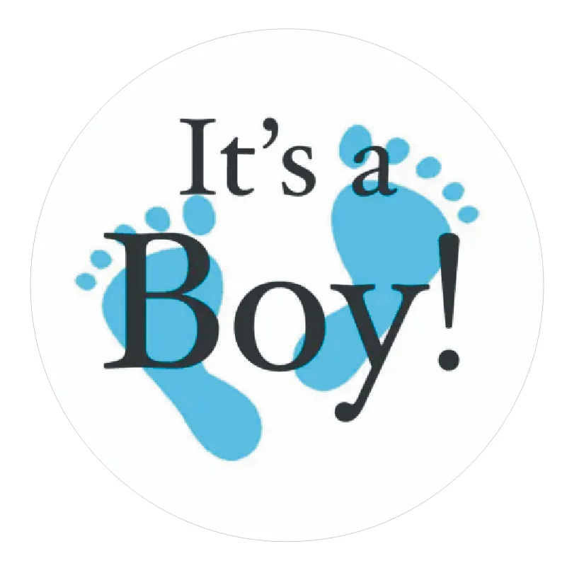 Welcome Baby Boy Stickers Labels Cute Little One Elephant Decor Stickers  Welcome New Born Gender Reveal