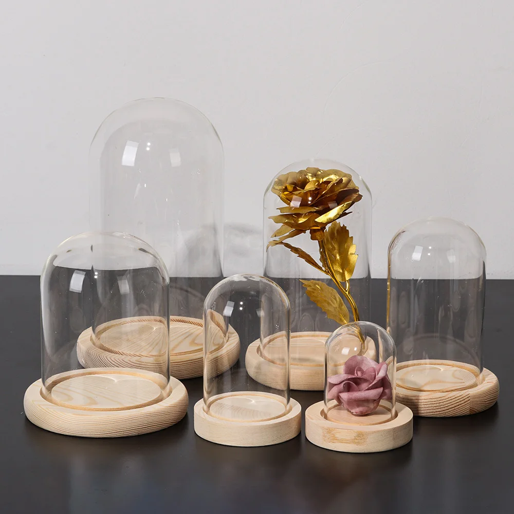 Dry Flower Glass Dust Cover with Wooden Base Immortal Flower Display Stand Clear Glass Vase Glass Cloche Plant Bottle Home Decor