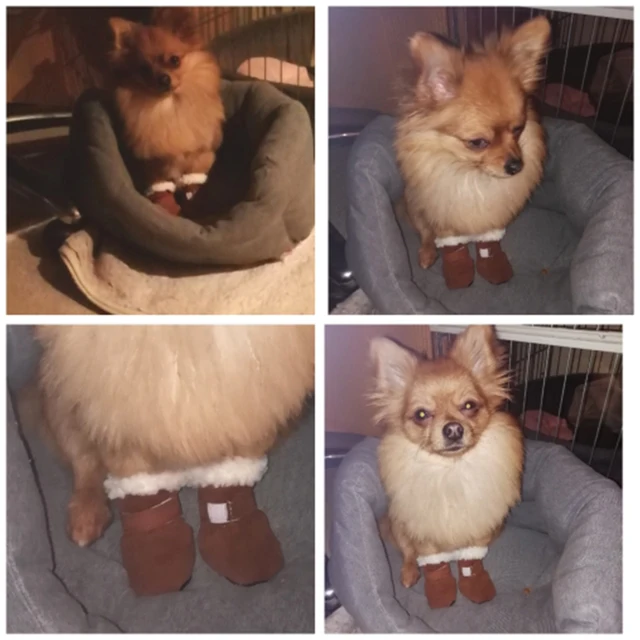 4pcs Winter Dog Shoes Waterproof Shoes For Medium Dogs Winter Boots For Small Dogs Warm Chihuahua Teeth Puppy Socks Yorkshire 5