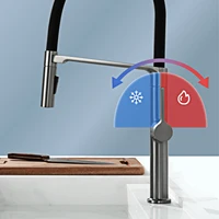 AITANA-Pistolet de luxe en laiton gris, design simple, poignée unique, 2 fonctions, extraction d'eau chaude et froide, centre commercial d'évier 3