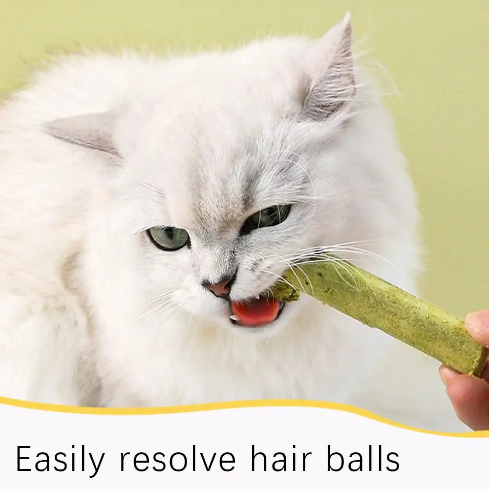 Cat Grass Stick Freeze-dried Cat Grass Teething Stick Cleaning Teeth Snacks Pet Pet Snacks Accessories Suppli M1W7 cat grass sticks cat and dog freeze dried snacks