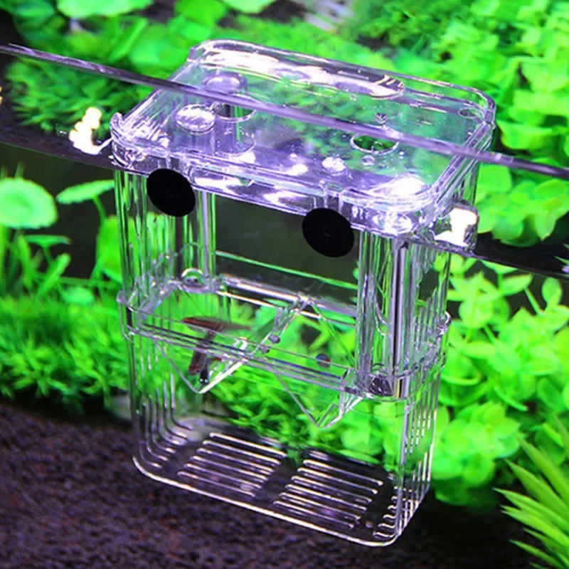 Accessori Acquario Acrilico Box Di Isolamento Di Allevamento Di Pesci Serbatoio Di Pesci D'Acquario Allevatore Doppio Guppy Cova Incubatore