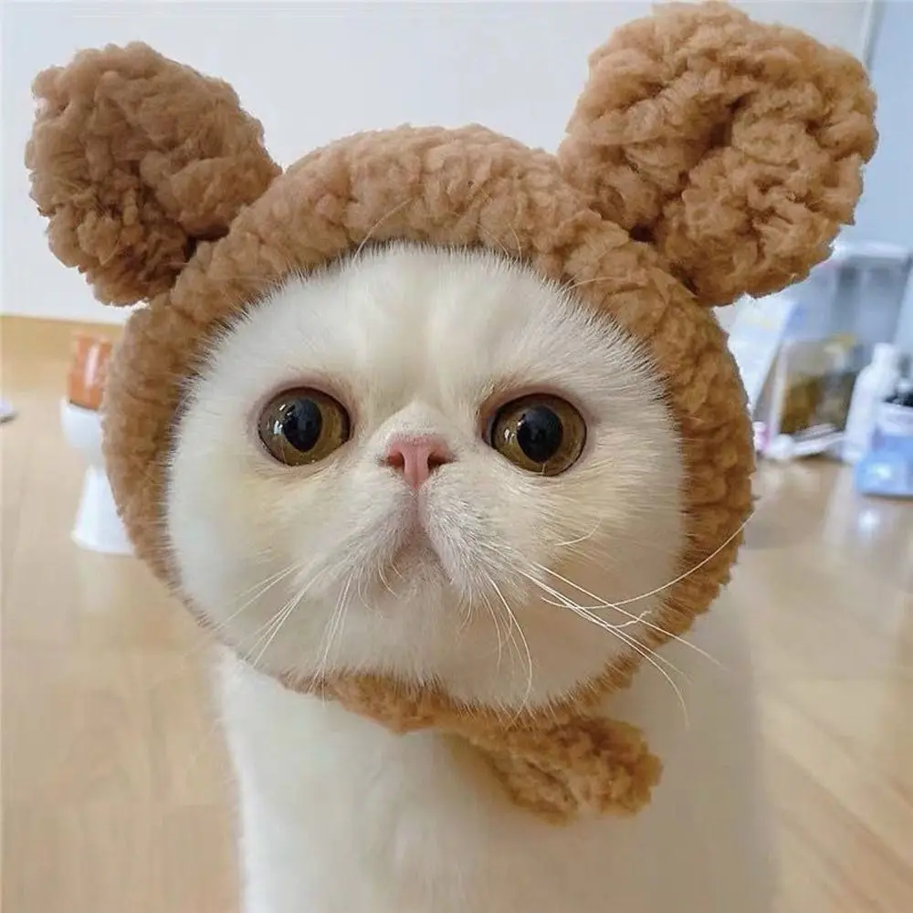 

Cat Hat Soft Cute Short Plush Bear Headgear Small Puppy Cap Comfortable Cosplay Costume Pet Accessories