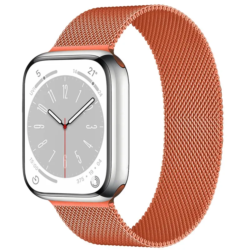 Magnetic Stainless Steel Loop Strap