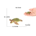 Sea Turtle B