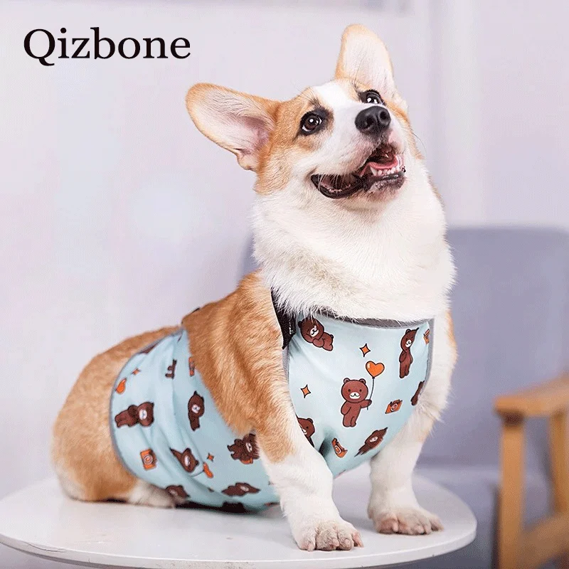 Dog clothes for Korji dog