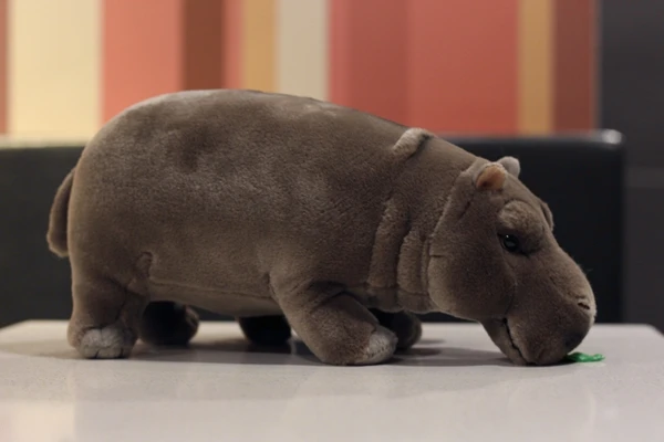 ケーセン社　リアル　カバ 楽天市場】ケーセン ぬいぐるみ kosen かば カバ 40cm Hippo
