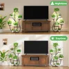 2 Pack Indoor Plant Stand with Grow Lights, Swan-Shaped Metal Flower Display Rack, 6 Tiered Corner Plant Stand 3