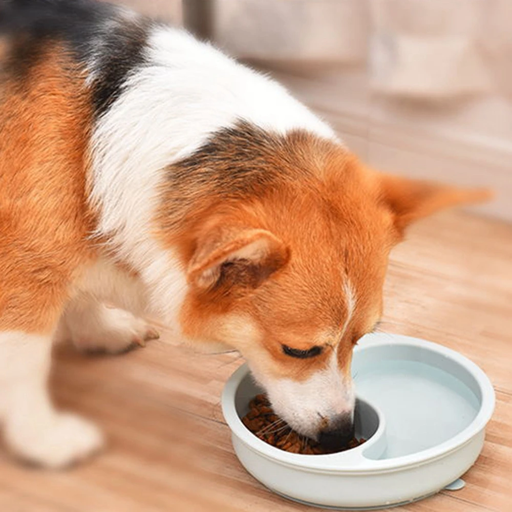 Should You Wash Your Dogs Bowls