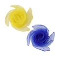 Yellow Blue