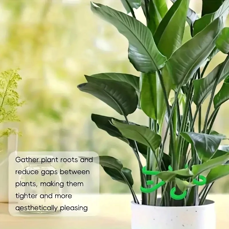 4pcs Climbing Houseplant Stem Supports, Plastic Plant Climbers Stem Holders Reusable Flower Plant Stakes Trellis Stem Hook Growt