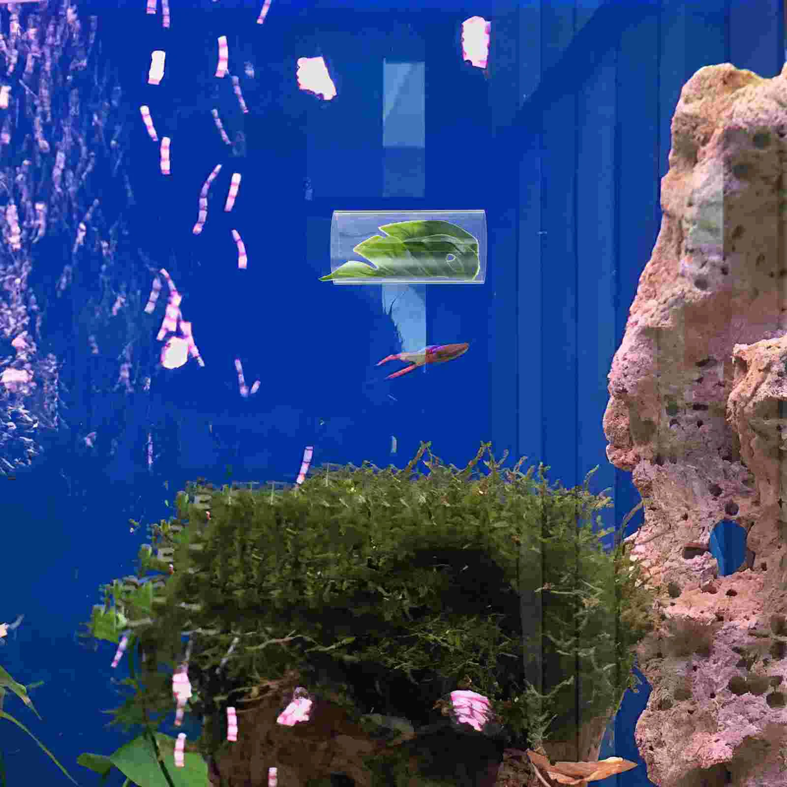 Betta Fish Tunnel Shrimp Hideout Transparent Tube Aquarium Decorations Pet Products Betta Leaf Cave Resting Hammock Toy