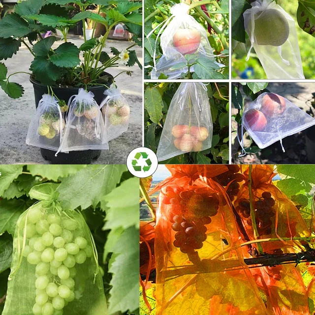 20-100PCS Vegetable Grapes Fruit Grow Bags Fruit Protection Bags Garden Anti-Bird Netting Mesh Bag Strawberry Bags Garden Tools 5