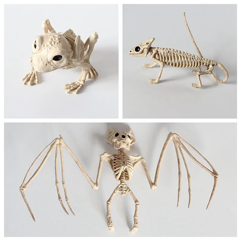 

Plastic Animal Skull Skeleton Ornaments, Halloween Horror Decorations, Scorpion Bat, Mouse, Spider Skull Bone