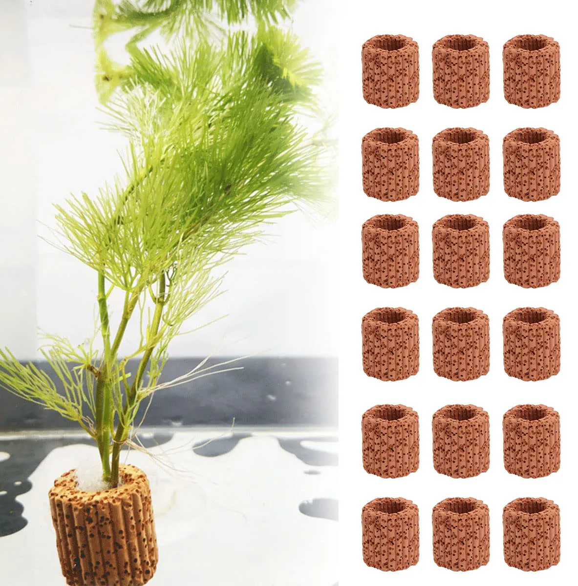 20Pcs/lot Aquatic Water Plant Fixed Ring Base for Aquarium Landscape