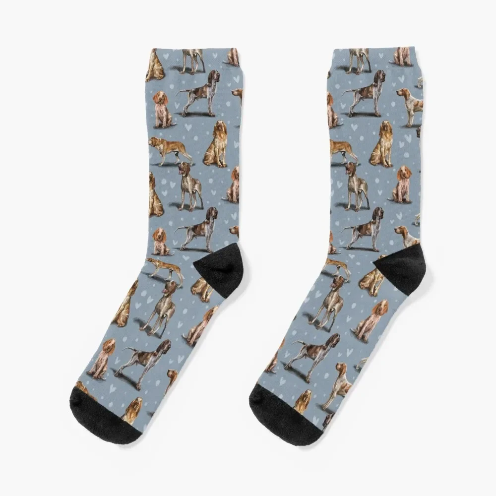 

The Bracco Italiano Socks Crossfit sports and leisure Non-slip hip hop Ladies Socks Men's