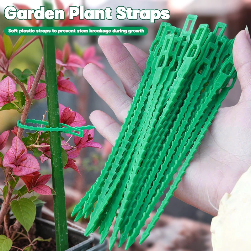 Plant Ties 20/50/100pcs Adjustable Use Shrub Fasteners Reusable Ties Gardening Tree Support Buckles Organizational Tools Plant Ties 20/50/100pcs Adjustable Use Shrub Fasteners Reusable Ties Gardening Tree Support Buckles Organizational Tools