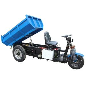 High Efficient Rear Axle 6 Piece Battery tricycle Electric Scooter Tricycle with Free accessories