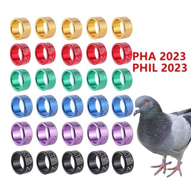 50pcs Plastic 2024 Pigeon Leg Rings With Customized Lettered Design,  Suitable For Bird Marking And Training | SHEIN