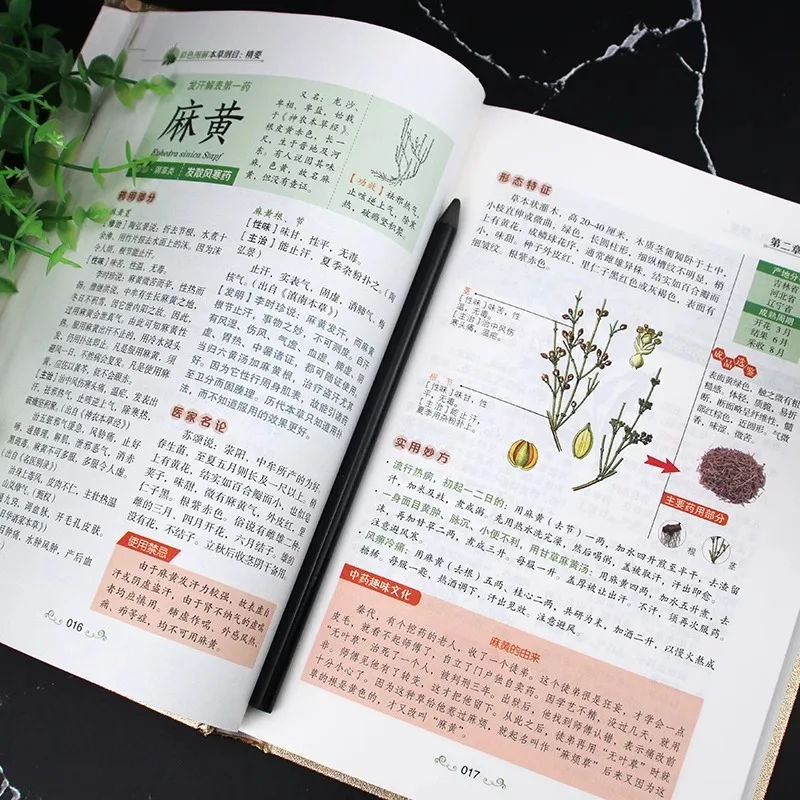 Compendium of Materia Medica, Li Shizhen's Chinese Herbal Medicine Books - 5