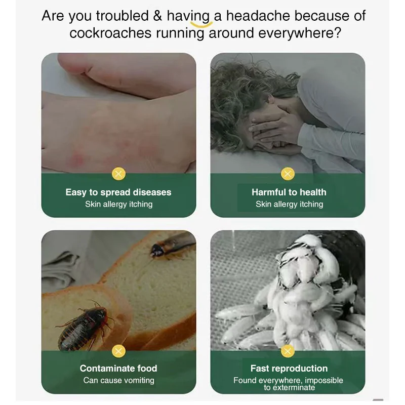 Bait Tool for Eliminating Cockroaches and Fleas