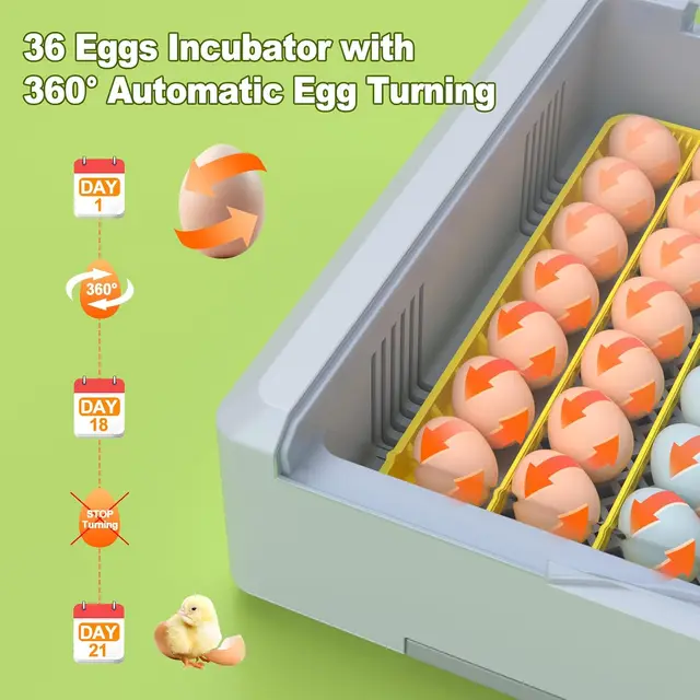 36 Egg Incubator for Hatching Eggs withAuto Turn, Temp & Humidity Control, Built-in CandleLarge Capacity Egg Incubator for Chic