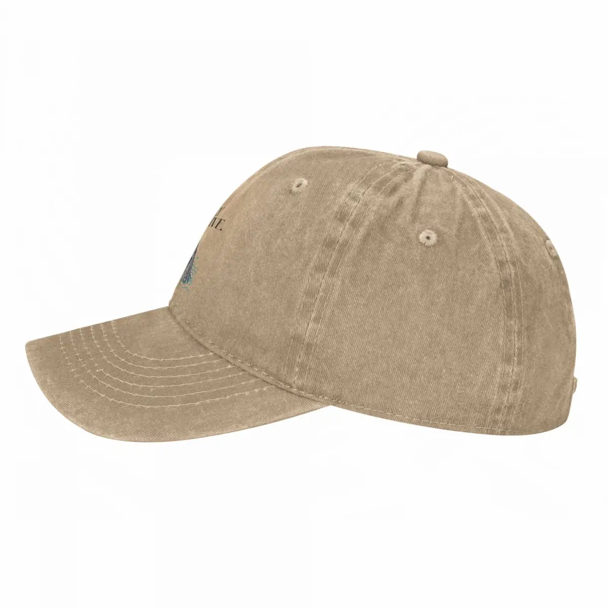 Stay Positive Shark Disresseed Washed Casquet ߱ ,  Y2K ߿ ö 