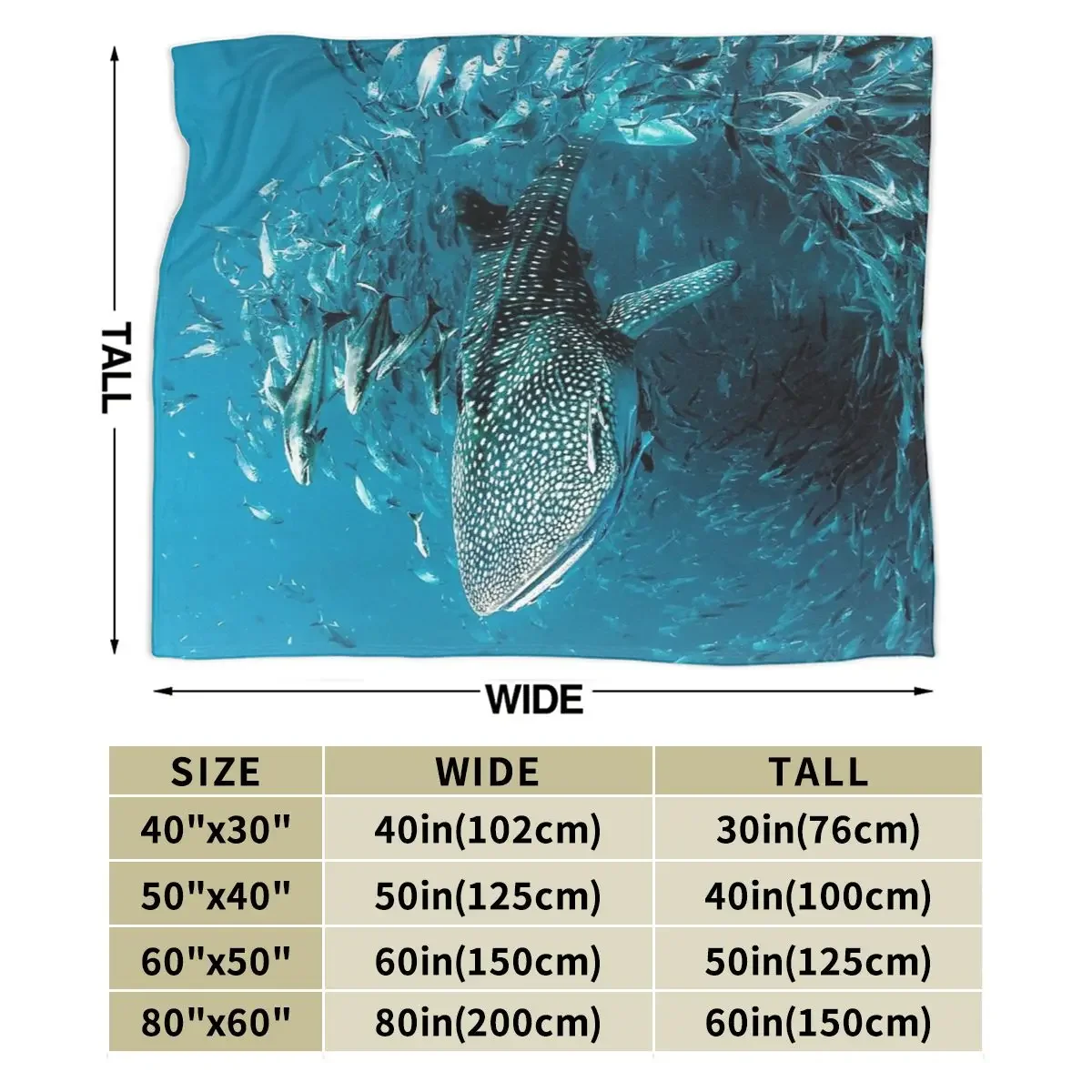 �ö��� ���ο� ���, ���� ��� �� ���� ���� ���, �ε巯�� ħ�� ������ ���� ���, ħ�� ��ũ�� ���� Ȩ ����